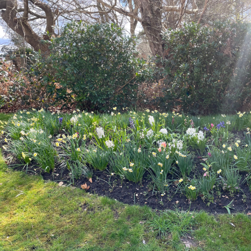 Warfield Park Spring has arrived at Warfield Park