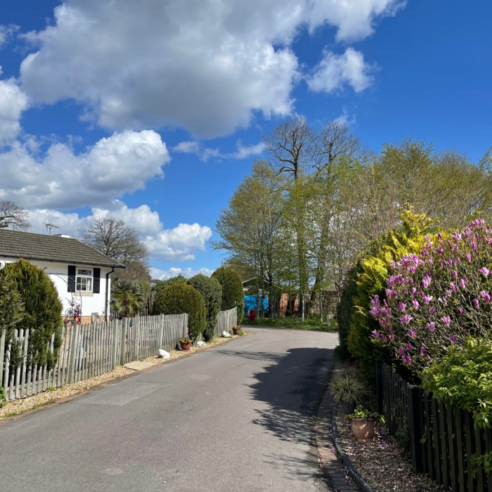 Warfield Park Spring has arrived at Warfield Park